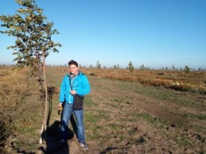 Вирощування волоського горіху